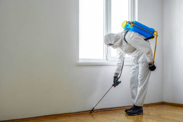 Best Termite Control Services  in St Joseph, MN