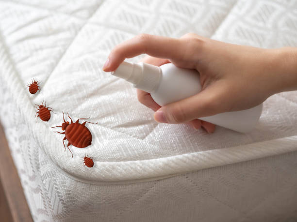 Best Emergency Pest Control  in St Joseph, MN