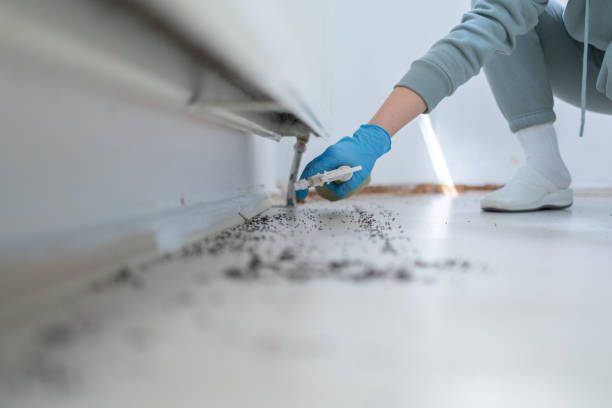 Best Affordable Pest Control Services  in St Joseph, MN